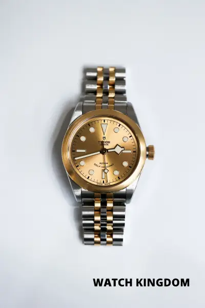 Tudor Black Bay 36 Ref. 79503