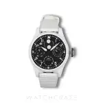 IWC Pilot (2023) - Ref. IW503008 | Watch Scout thumbnail 1
