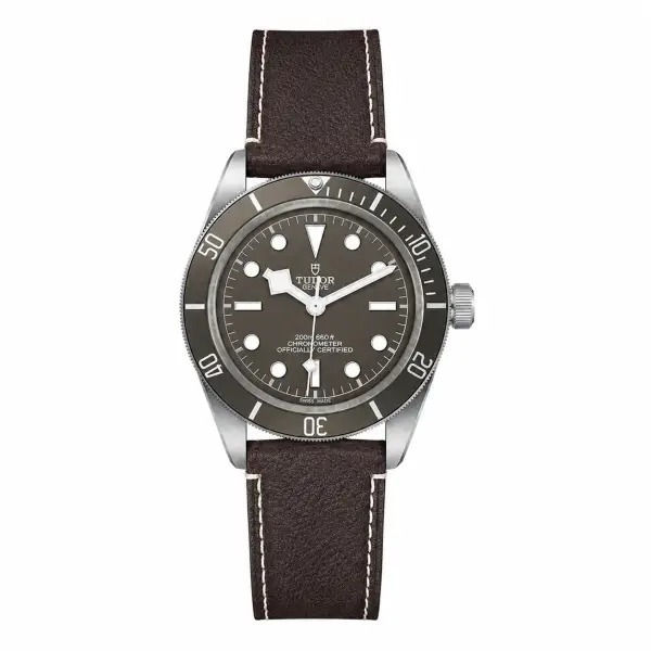 Tudor Black Bay
