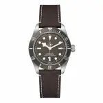 Tudor Black Bay (2023) - Ref. 79010SG | Watch Scout thumbnail 1