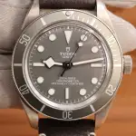 Tudor Black Bay (2023) - Ref. 79010SG | Watch Scout thumbnail 2