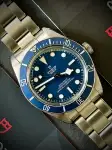 Tudor Black Bay (2020) - Ref. 79030B | Watch Scout thumbnail 1