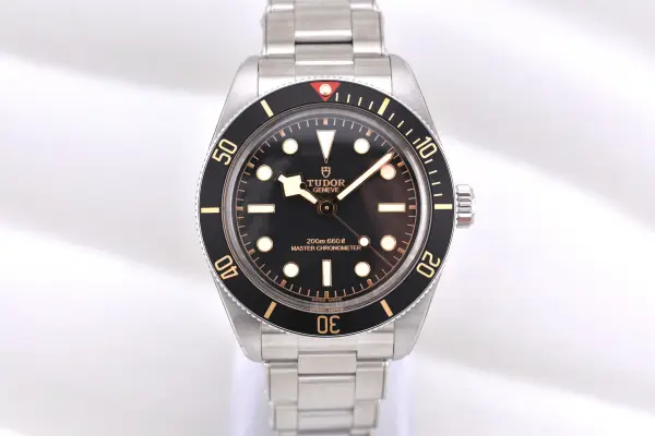 Tudor Black Bay