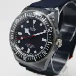 Tudor Pelagos (2025) - Ref. 25707KN | Watch Scout thumbnail 2