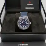 Tudor Pelagos (2025) - Ref. 25707KN | Watch Scout thumbnail 5