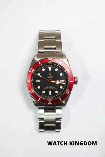 Tudor Black Bay