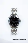 Omega Seamaster (2012) - Ref. 21230412001003 | Watch Scout thumbnail 1