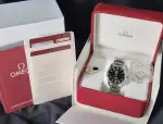 Omega Seamaster (2014) - Ref. 231.10.42.21.01.002 | Watch Scout thumbnail 2