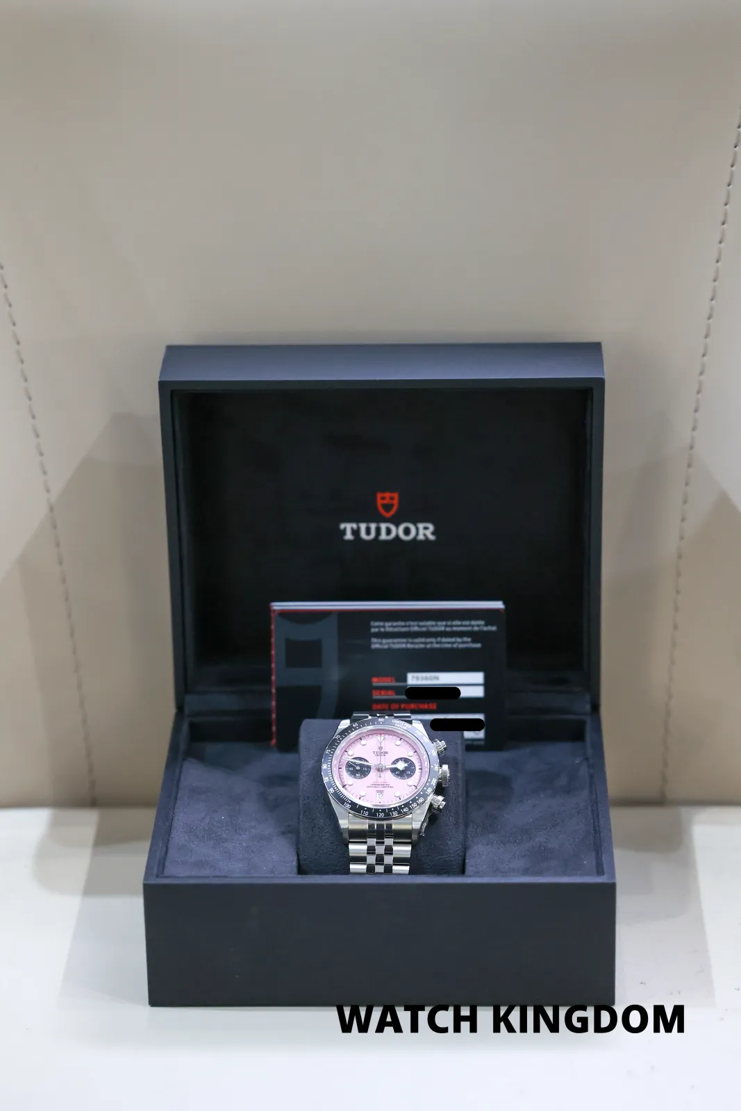 Tudor Black Bay 79360N, photo 8 of 8