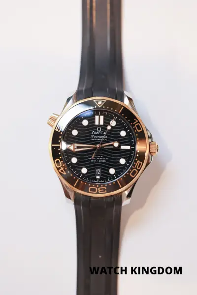 Omega Seamaster Diver 300M Ref. 210.22.42.20.01.001