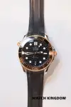 Omega Seamaster Diver 300M 210.22.42.20.01.001