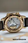 Patek Philippe Complications (2017) - Ref. 6102R-001 | Watch Scout thumbnail 10