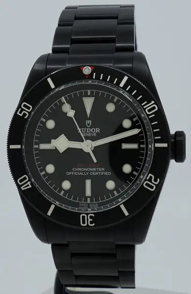 Tudor Black Bay
