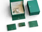 Rolex Land-Dweller 40 (2025) - Ref. 127334 | Watch Scout thumbnail 6