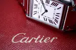 Cartier Tank Must (Large) WSTA0106, thumbnail 23 of 24