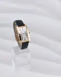 Cartier Tank (2024) - Ref. WGTA0300 | Watch Scout thumbnail 1