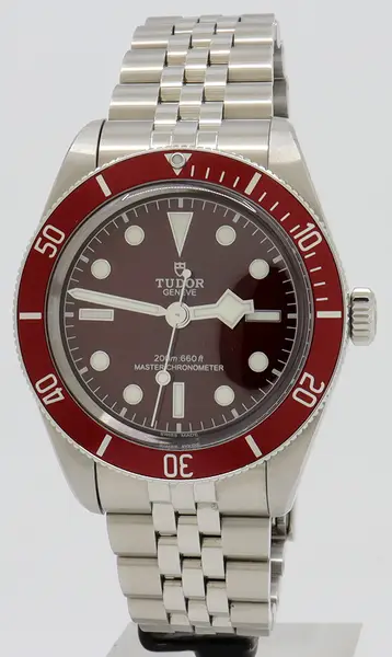 Tudor Black Bay