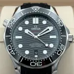 Omega Seamaster Diver 300M (2026) - Ref. 210.32.42.20.01.001 | Watch Scout thumbnail 1