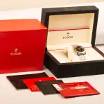 Tudor Classic (2015) - Ref. 21013 | Watch Scout thumbnail 5