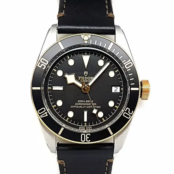 Tudor Black Bay