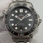 Omega Seamaster Diver 300M (2023) - Ref. 210.30.42.20.01.001 | Watch Scout thumbnail 1