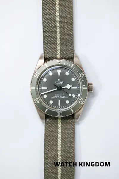 Tudor Black Bay