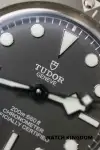 Tudor Black Bay (2021) - Ref. 79010SG | Watch Scout thumbnail 4