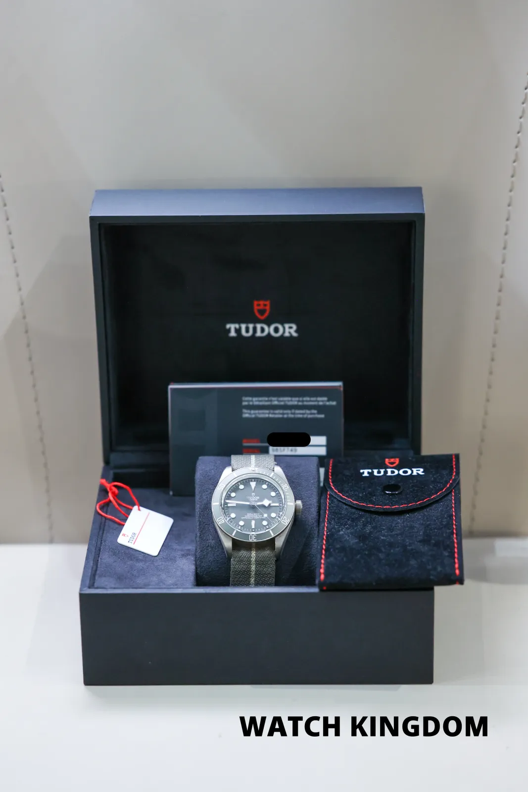 Tudor Black Bay 58 79010SG Price in Australia | $6.5k - image 6