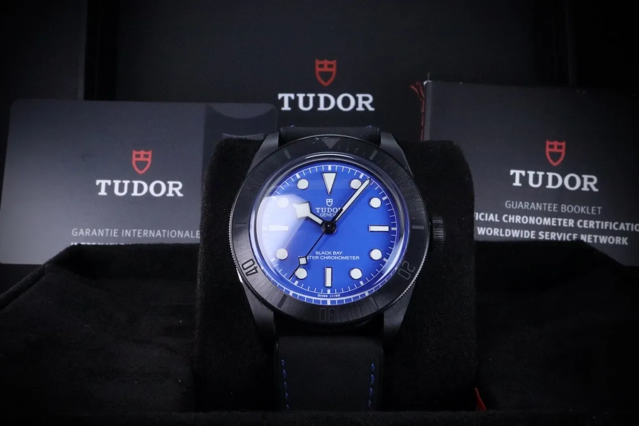 Tudor Black Bay 79210CNU Price in Australia | $5.3k - image 19