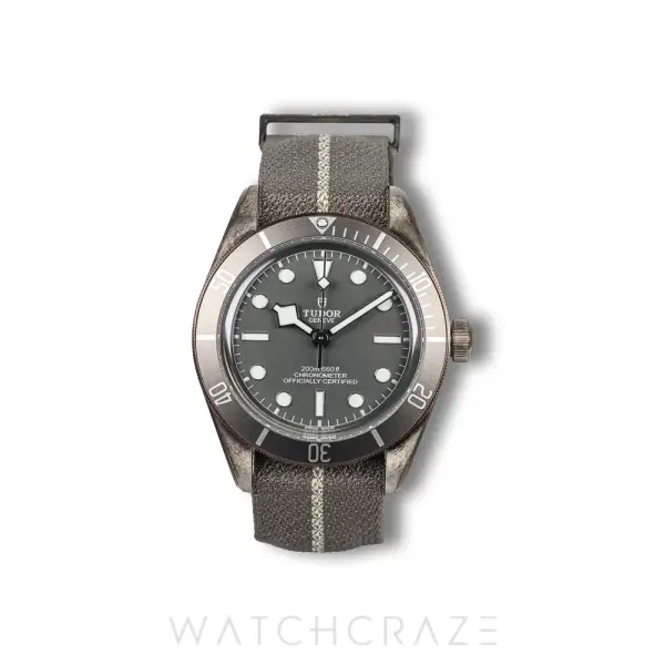 Tudor Black Bay Ref. M79010SG-0002