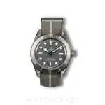 Tudor Black Bay (2022) - Ref. M79010SG-0002 | Watch Scout thumbnail 1