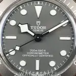 Tudor Black Bay (2022) - Ref. M79010SG-0002 | Watch Scout thumbnail 2