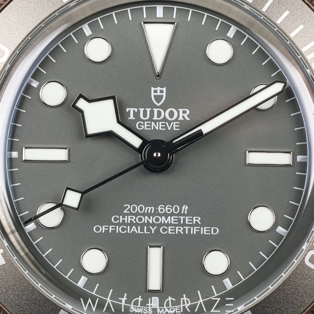Tudor Black Bay (2022) - Ref. M79010SG-0002 | Watch Scout - image 2