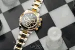 Rolex Daytona (2025) - Ref. 126503 | Watch Scout thumbnail 6