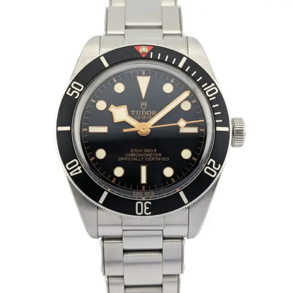 Tudor Black Bay