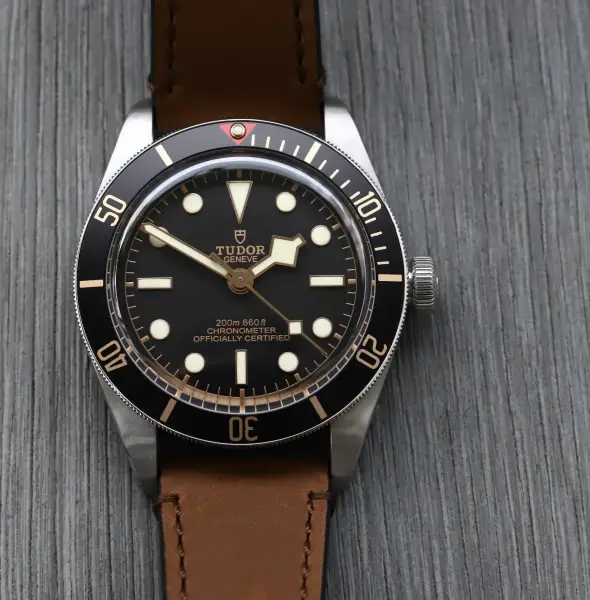 Tudor Black Bay
