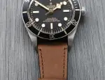 Tudor Black Bay (2026) - Ref. 79030N-002 | Watch Scout thumbnail 9