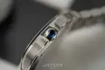 Cartier Santos (2025) - Ref. WSSA0063 | Watch Scout thumbnail 9
