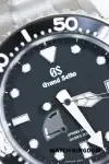 Grand Seiko (2020) - Ref. SBGA229G | Watch Scout thumbnail 3