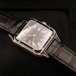 Cartier Santos-Dumont Large Model WSSA0046 Price in Australia | $11k thumbnail 2