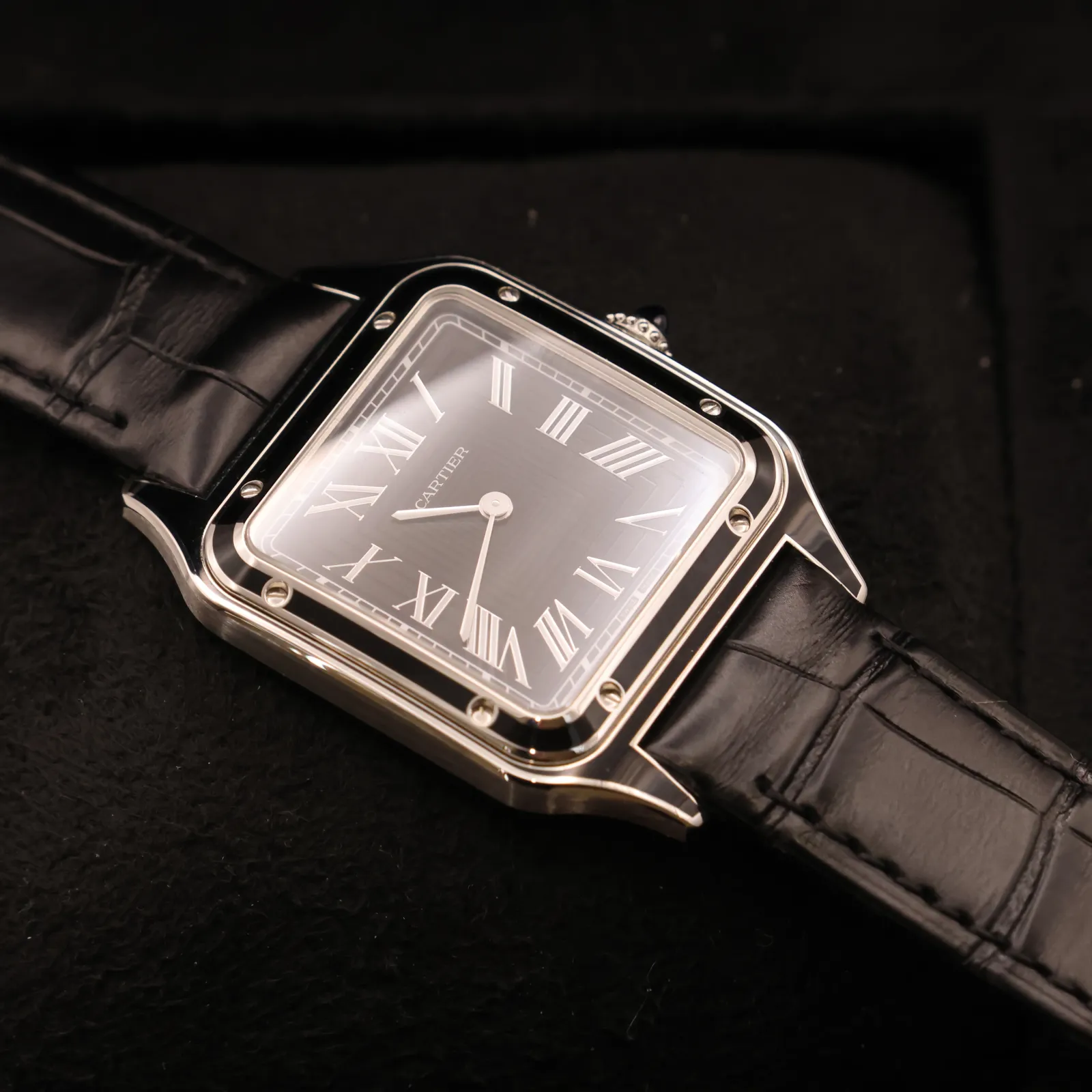Cartier Santos-Dumont Large Model WSSA0046 Price in Australia | $11k - image 2