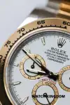 Rolex Daytona (2025) - Ref. 126503 | Watch Scout thumbnail 2