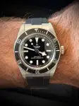 Tudor Black Bay (2024) - Ref. M7941A1A0NU | Watch Scout thumbnail 9