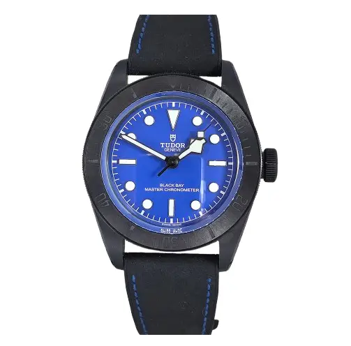 Tudor Black Bay