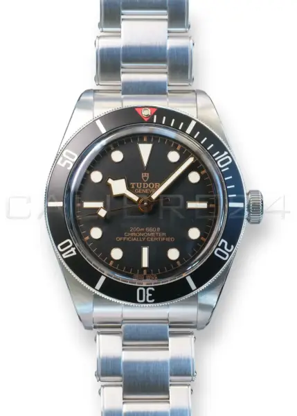 Tudor Black Bay