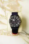 Tudor Pelagos (2025) - Ref. 25807KN | Watch Scout thumbnail 1