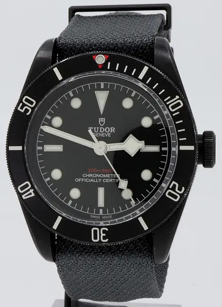 Tudor Black Bay