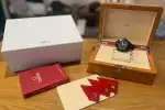 Omega Seamaster Planet Ocean (2020) - Ref. 215.92.46.22.01.001 | Watch Scout thumbnail 12