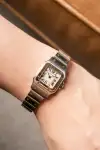 Cartier Santos (2017) - Ref. W20012C4 | Watch Scout thumbnail 2