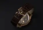Patek Philippe Calatrava (2023) - Ref. 6119R-001 | Watch Scout thumbnail 9